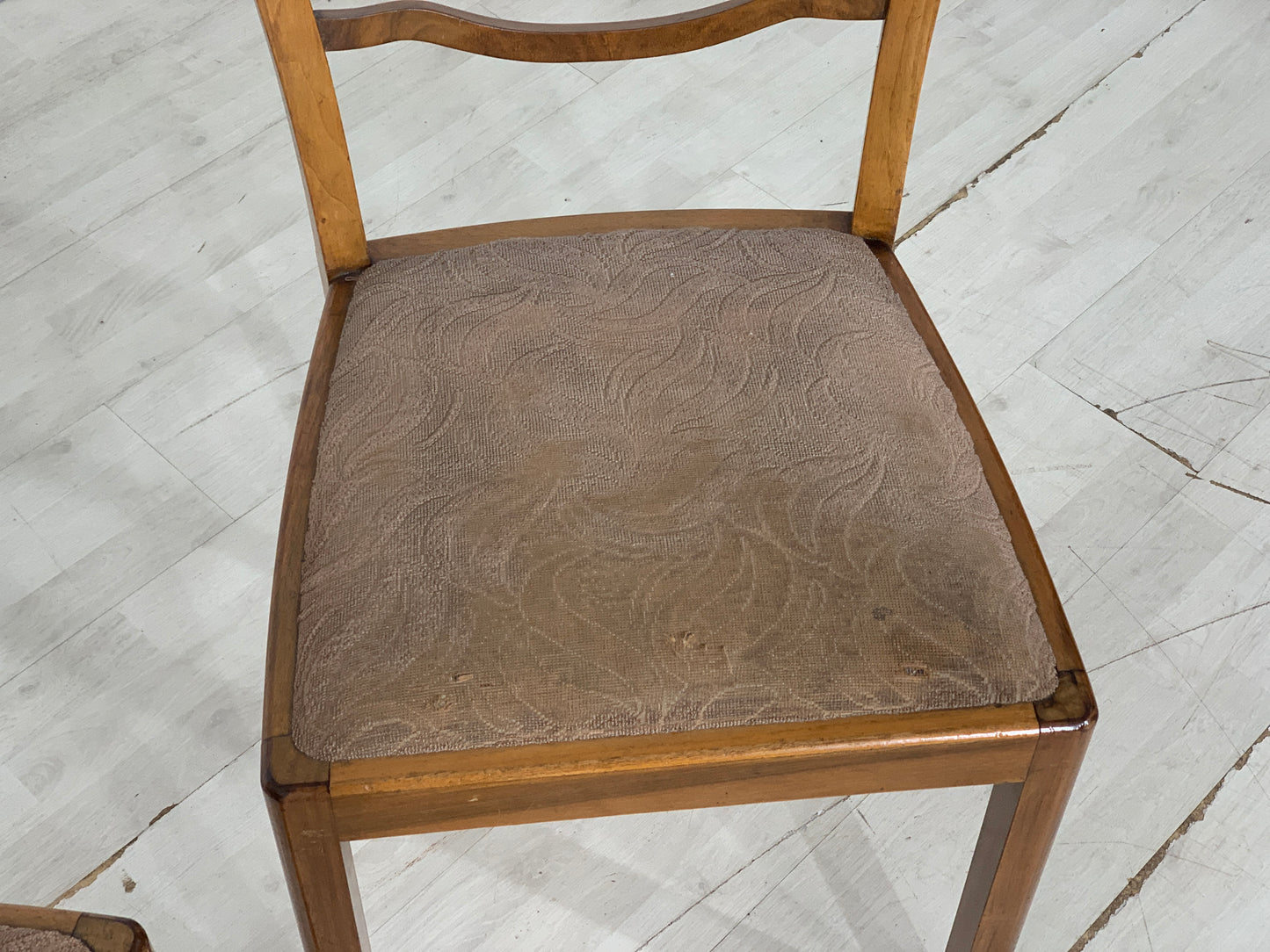 Jugendstil Stühle Stuhl Esszimmerstühle Chair Vintage